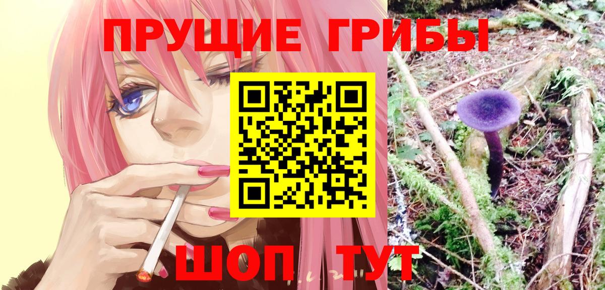 Галлюциногенные грибы Psilocybe  Вход с VPN  Алатырь 
