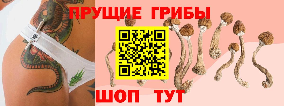 Галлюциногенные грибы GOLDEN TEACHER Алатырь